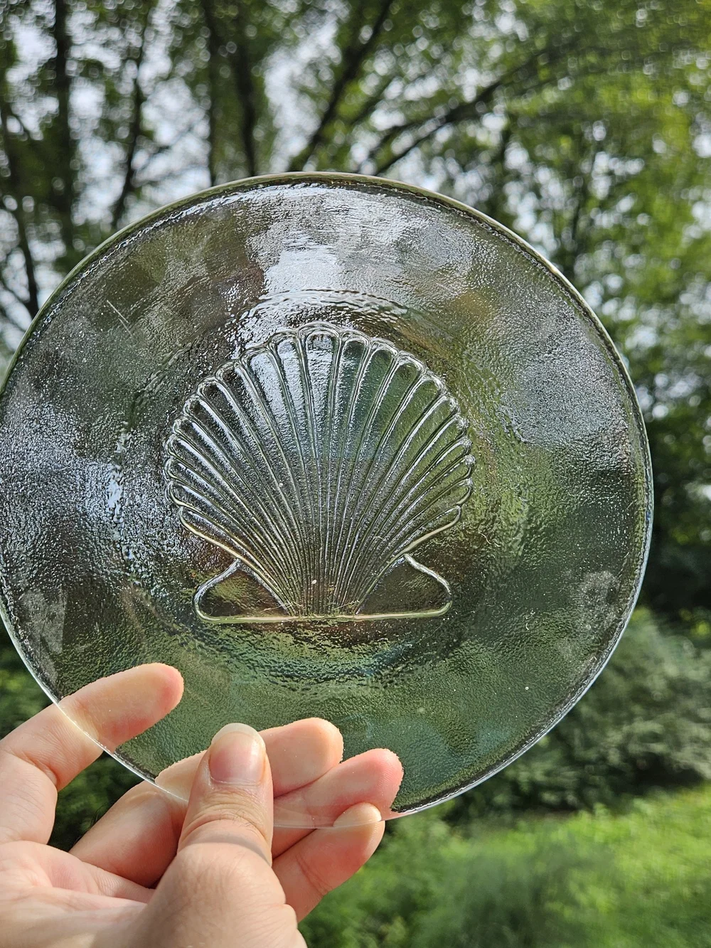 Set of 4 Clear Glass Seafood Motif Plates Appetizer Sized